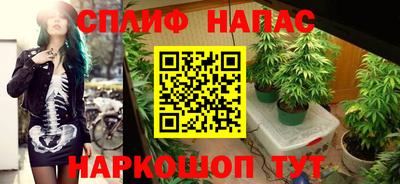 молекула духа Ставрополь