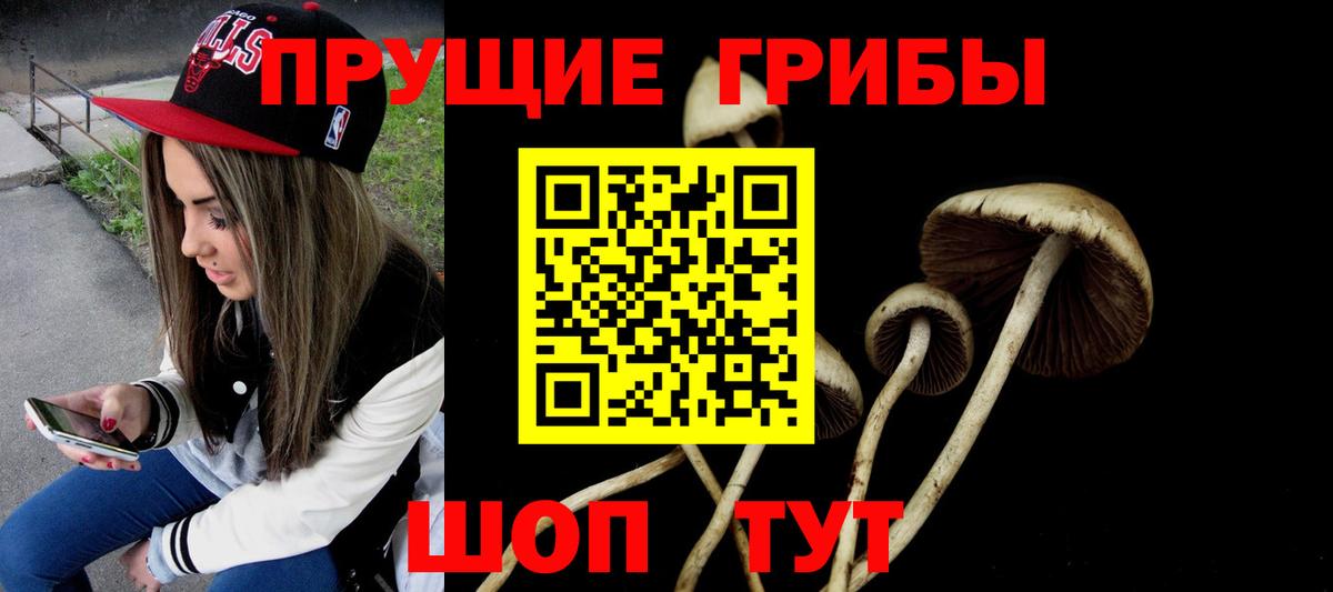 Галлюциногенные грибы Cubensis  Вход с VPN  Псилоцибиновые грибы прущие грибы  Пугачёв 