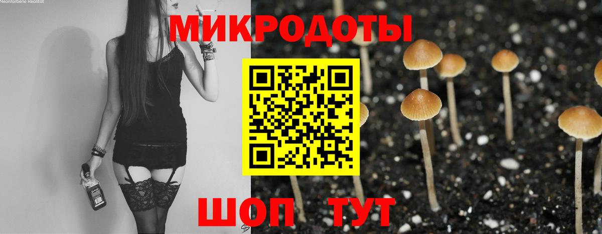 Псилоцибиновые грибы MAGIC MUSHROOMS Пугачёв