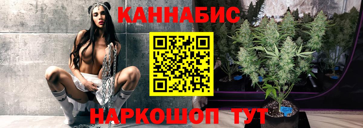 Бошки марихуана планчик  Вход с VPN  Пугачёв  Каннабис план  Бошки Шишки конопля 